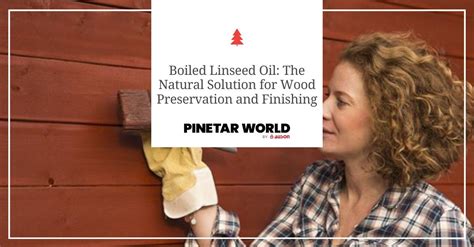  Linseed Oil – Den Helt Naturliga Världen av Färger och Konservering!